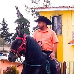 Meet your Posher, Fernando